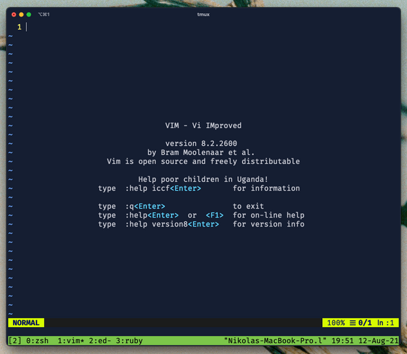 Windows in tmux