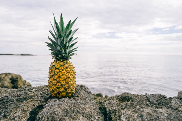 Pineapple on a beach