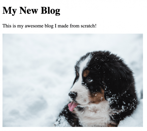 The homepage of our Gatsby blog with a picture of a dog.
