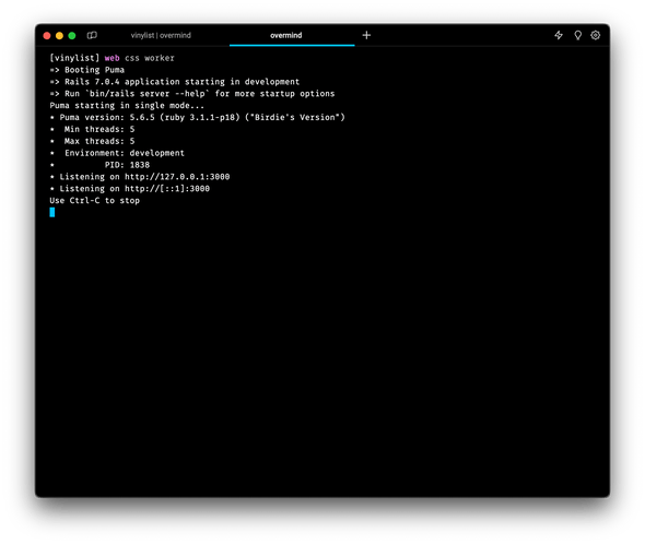 Overmind connect launches a tmux session with running processes